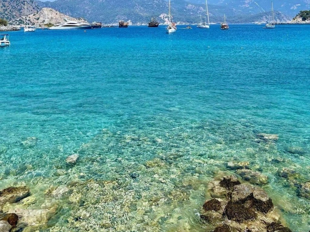 Akvaryum Koyu berrak deniz suyu ve şnorkel dalışı