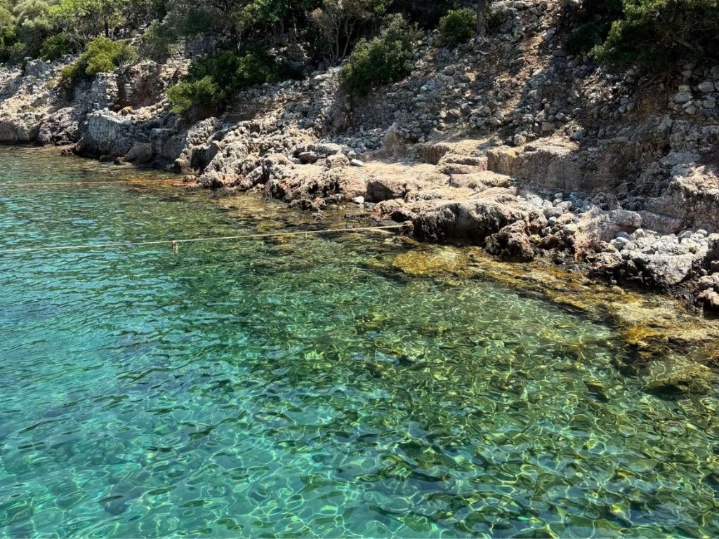 Akvaryum Koyu turkuaz deniz şnorkel Fethiye