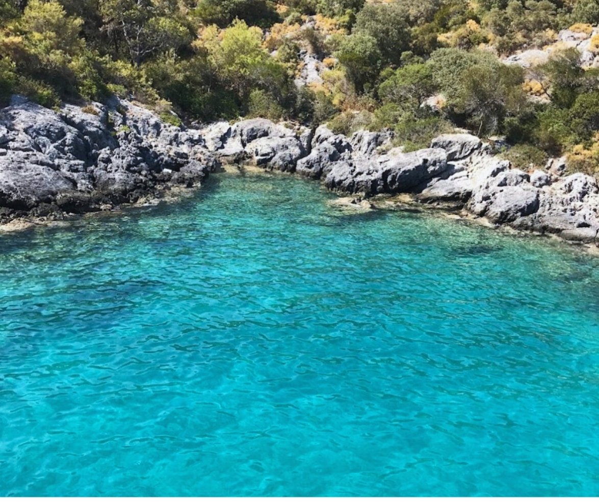 Akvaryum Koyu Fethiye yüzme