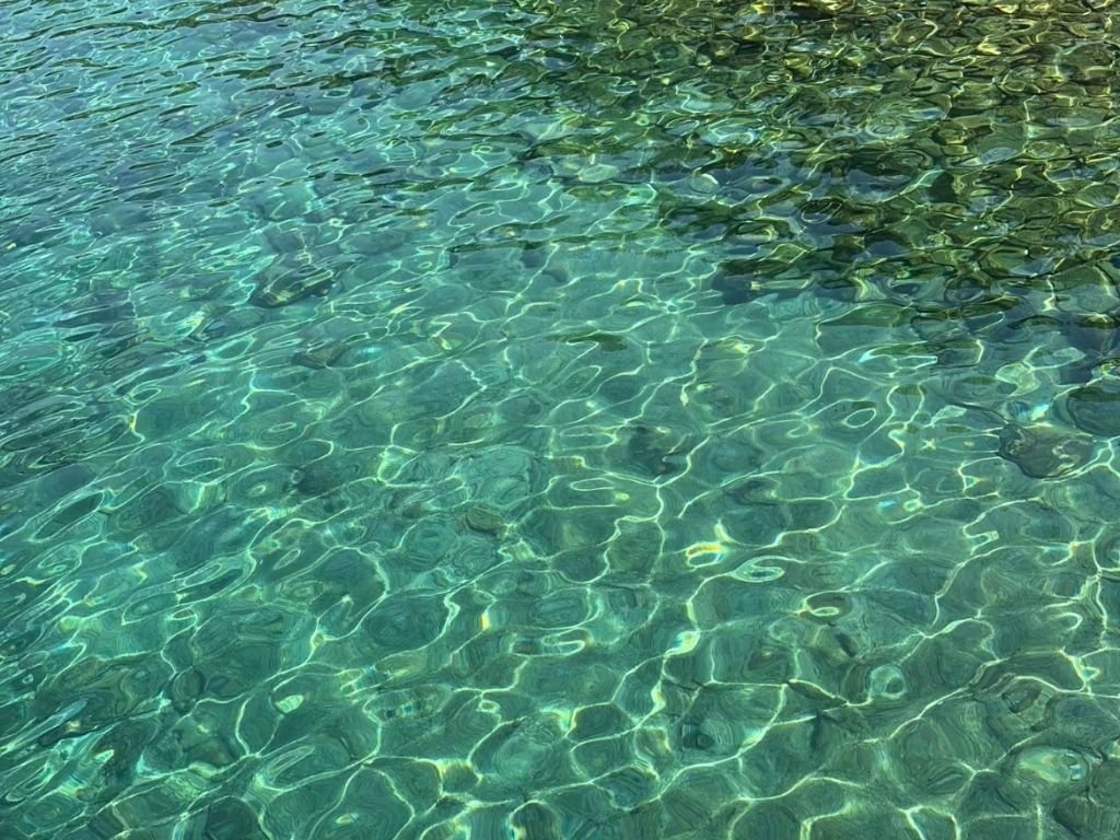 Şnorkel dalışı ve deniz altı dünyası