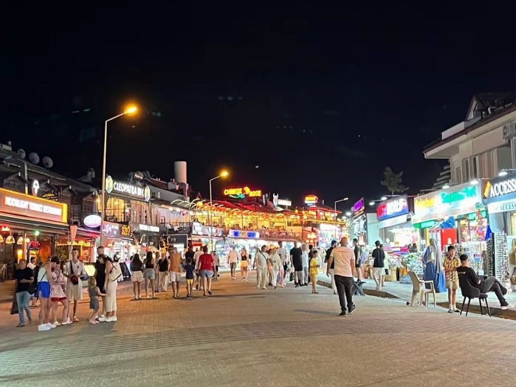 Hisarönü çam ormanları