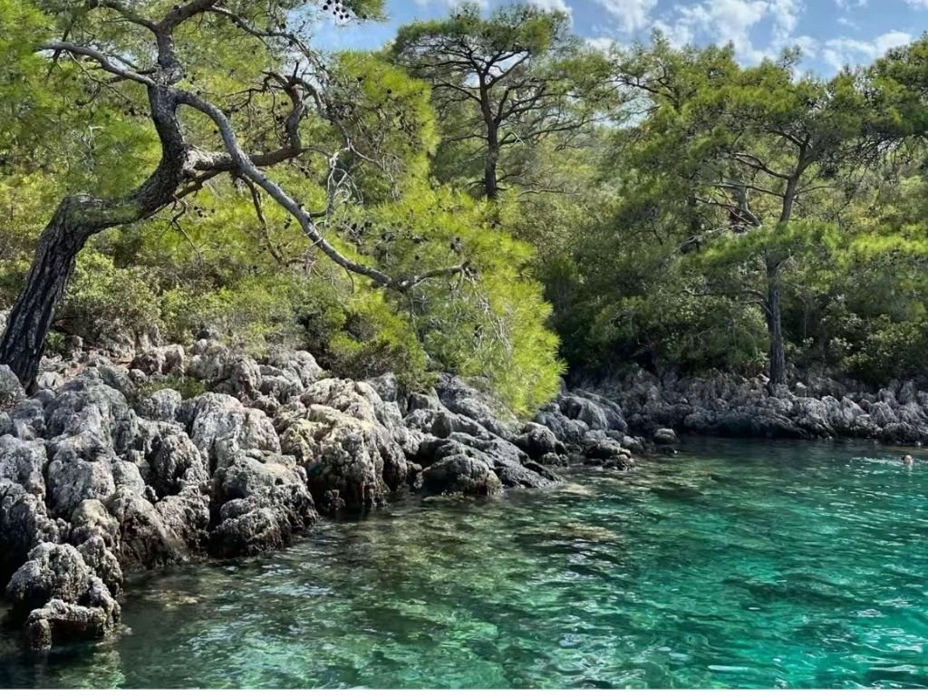 Ölüdeniz tekne turu ve koy ziyareti