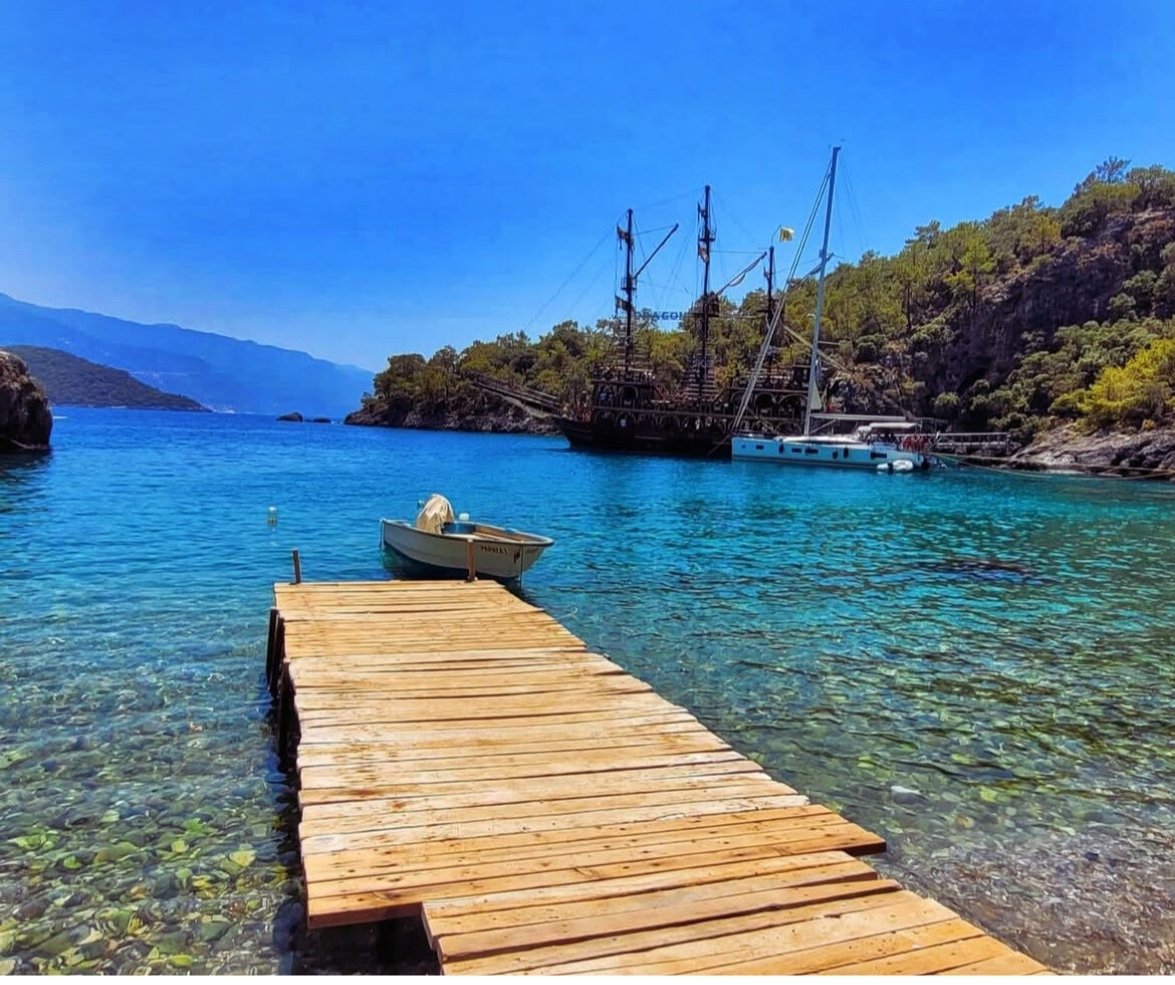 Soğuk Su Koyu serin sular çam ağaçları